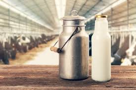 Myth' busted? FSSAI claims local milk to be 'largely safe' despite  widespread quality fears