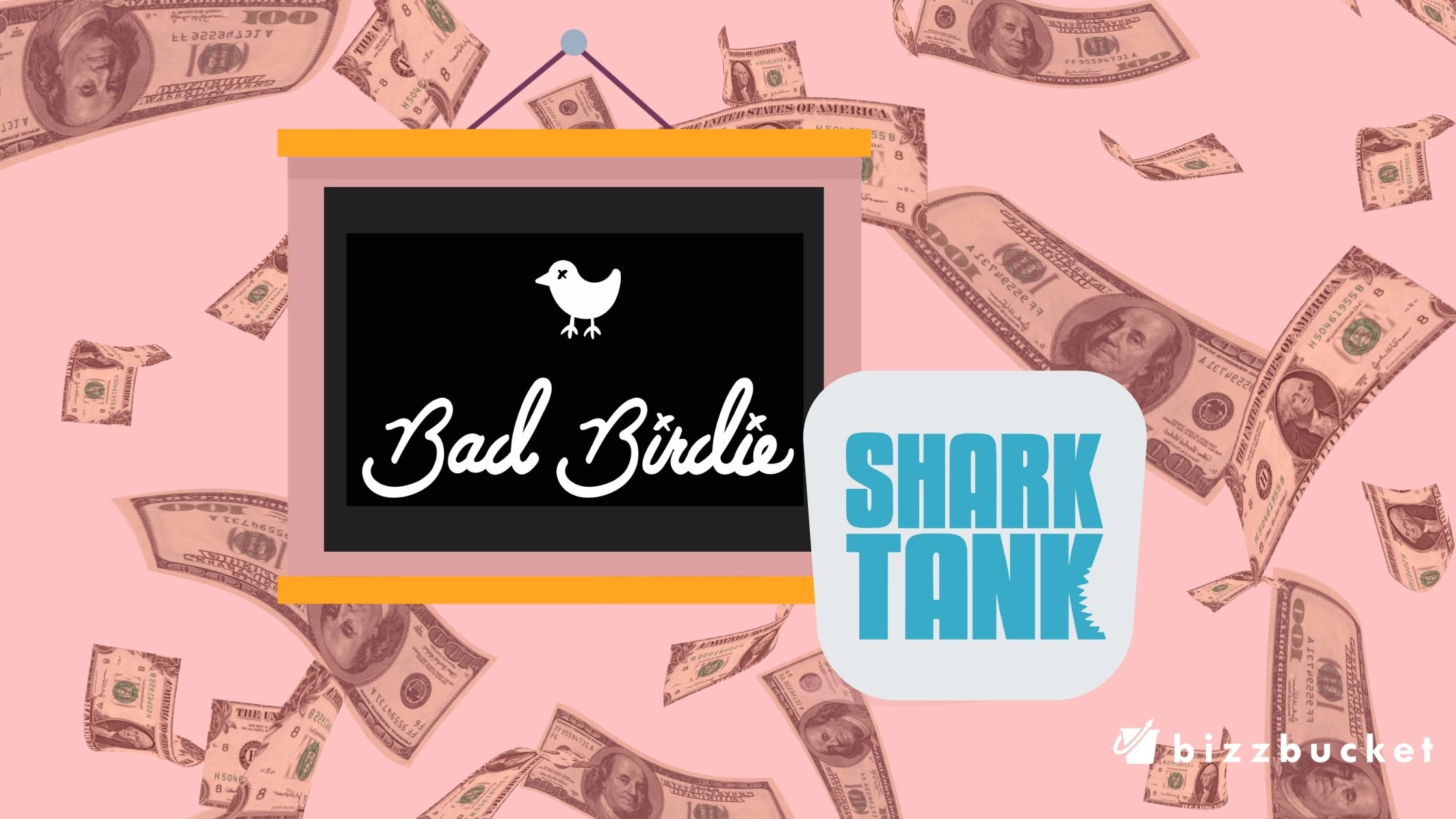Bad Birdie shark tank update