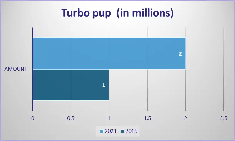 Turbo pup shark tank update
