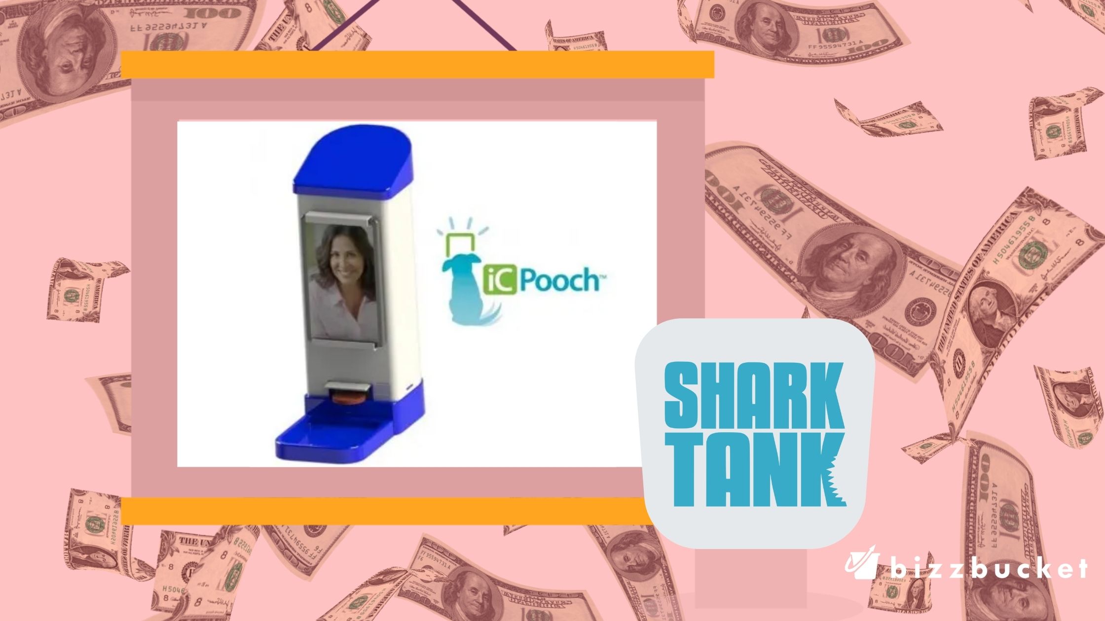 Ic Pooch shark tank update