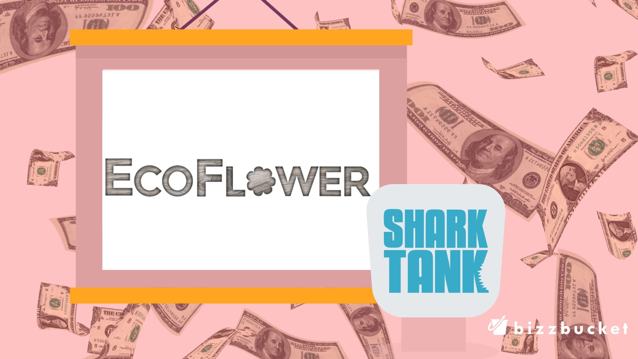 Eco Flowers shark tank update