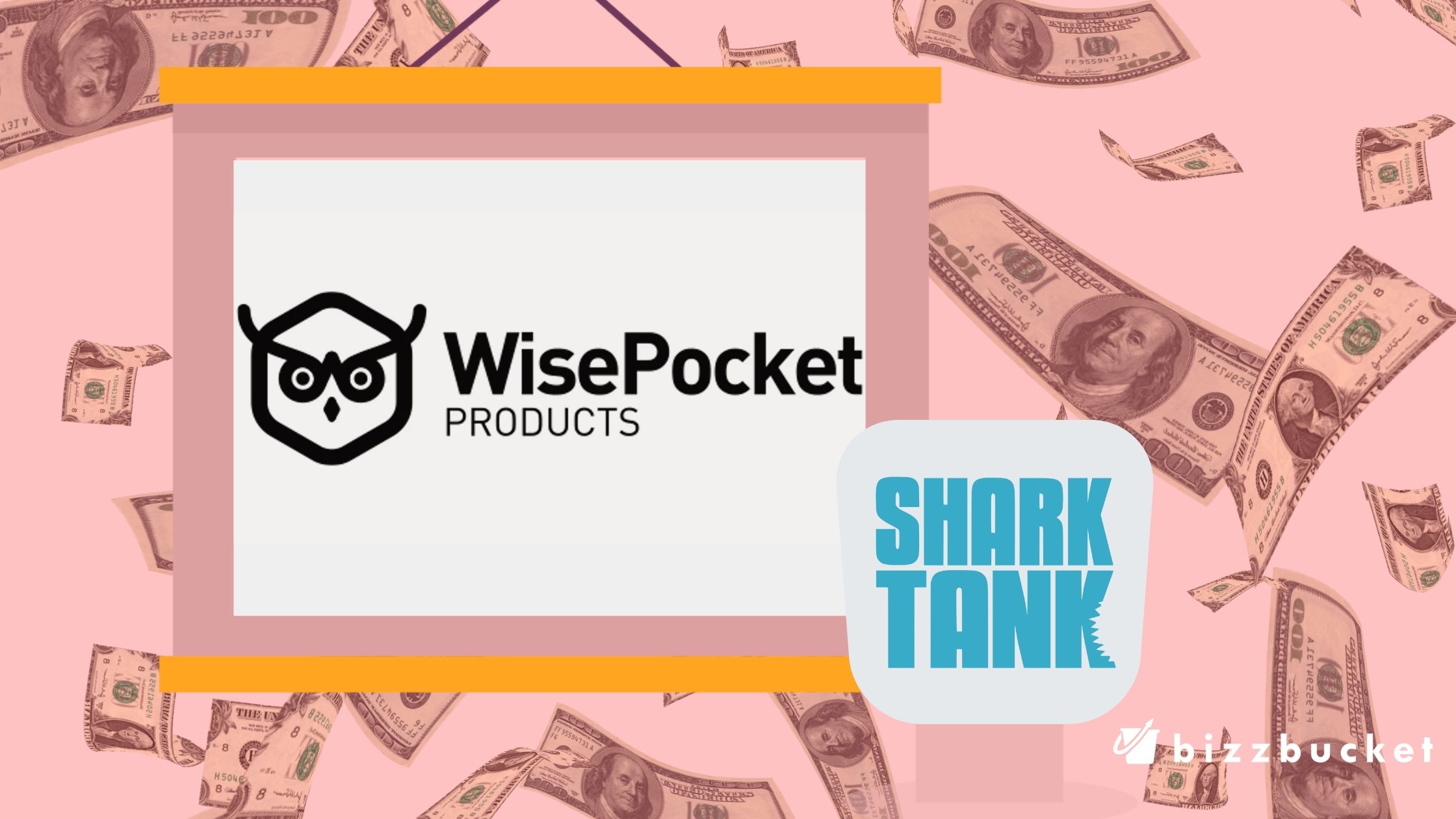 wise pocket socks shark tank update
