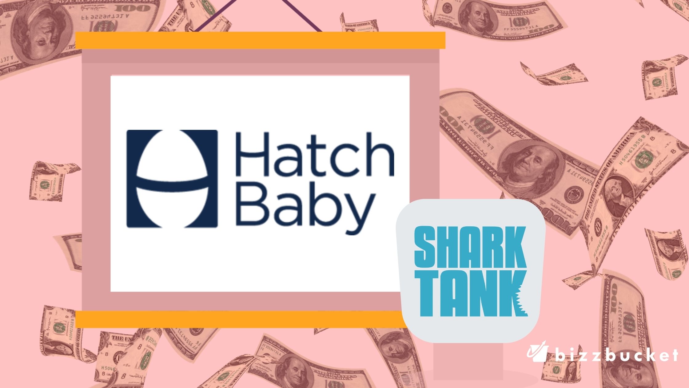 Hatch Baby shark tank update