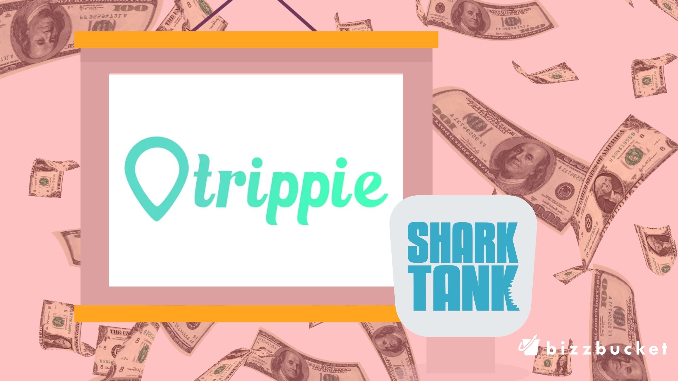 Trippie App shark tank update