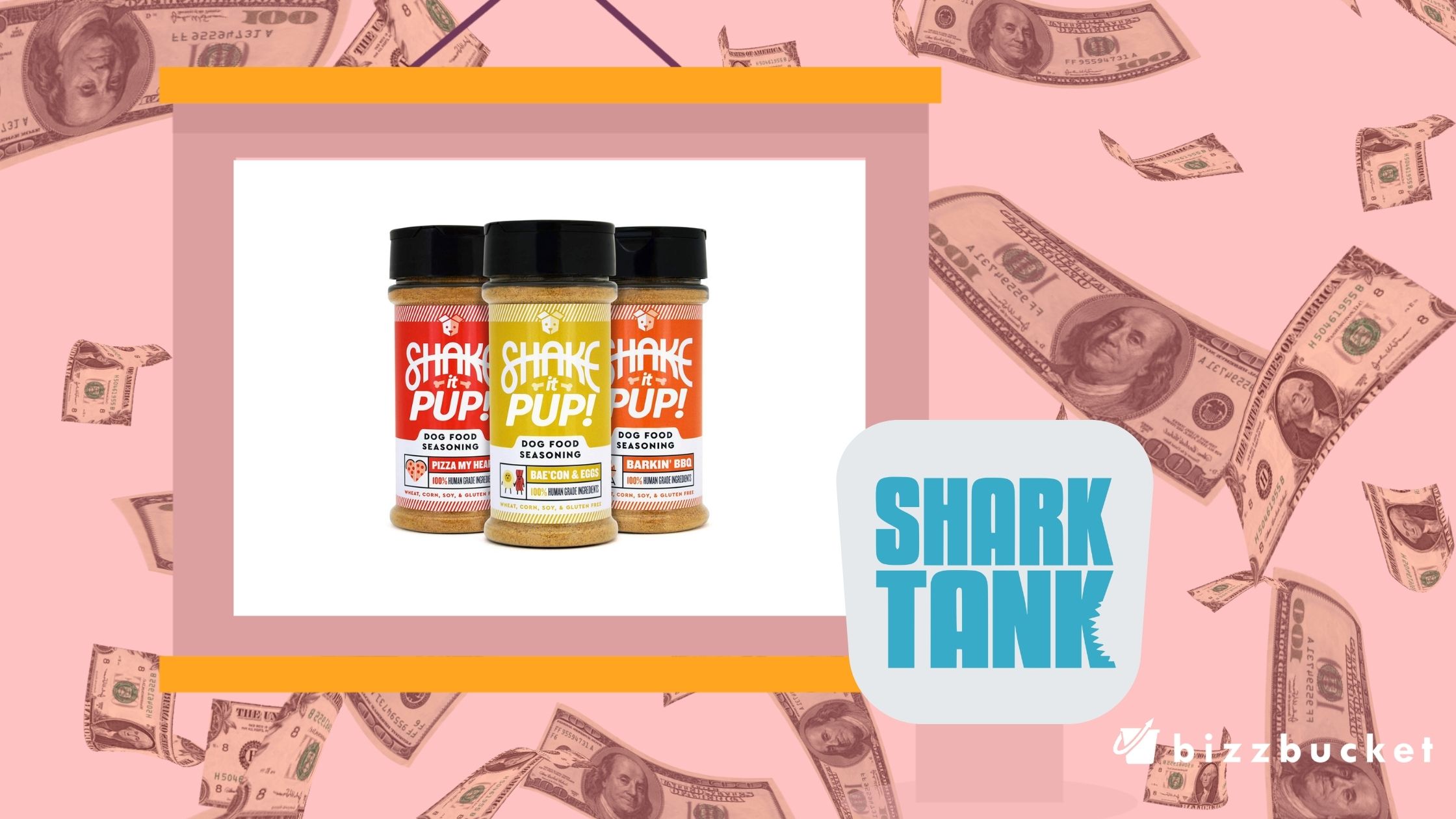 Shake It Pup shark tank update