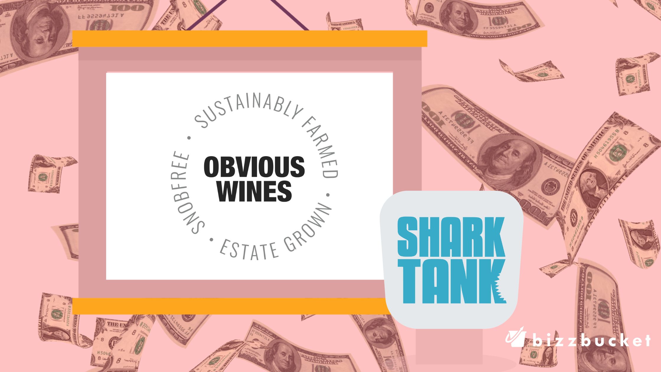 Obvious wines shark tank update
