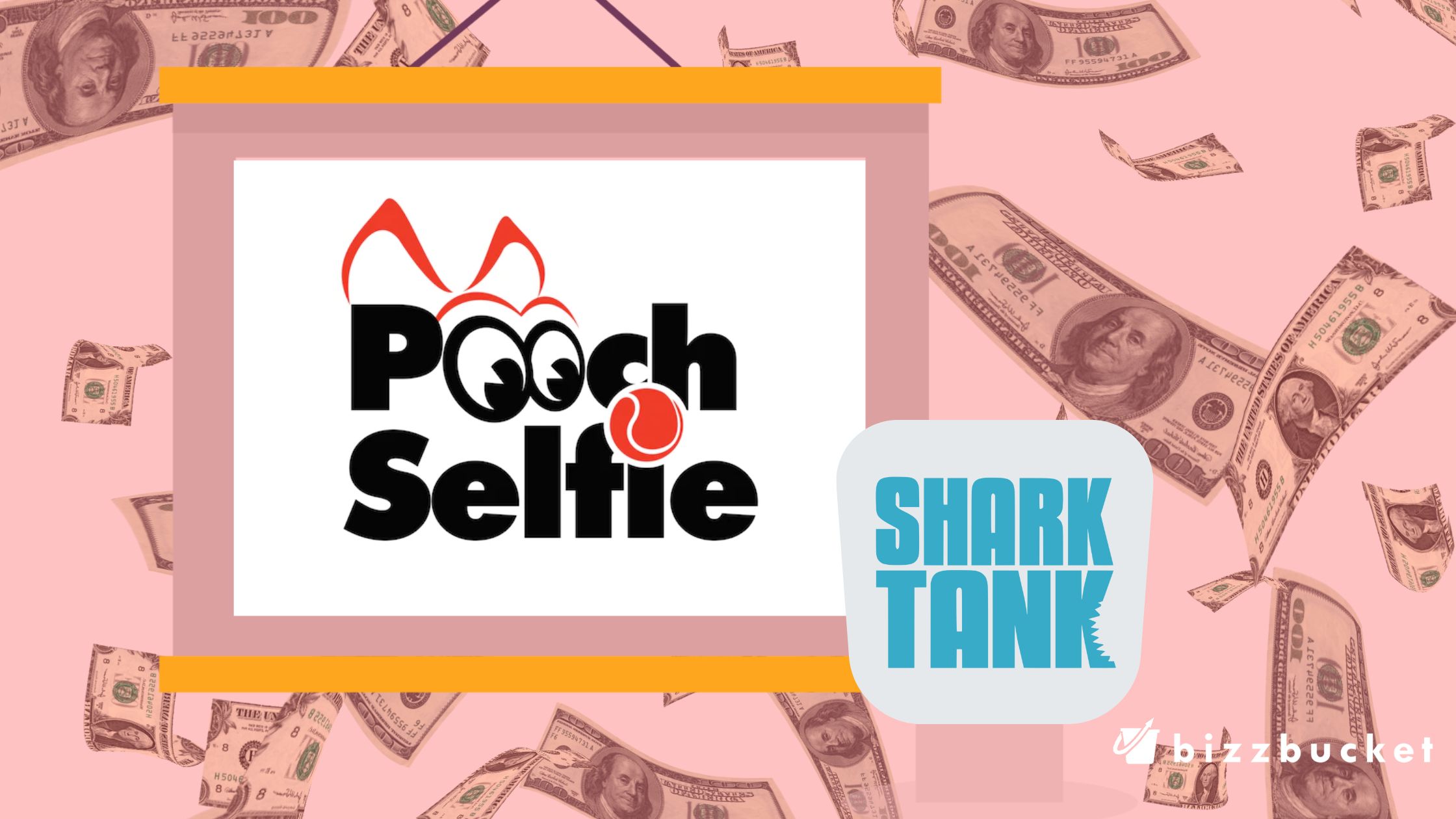 Pooch Selfie shark tank update