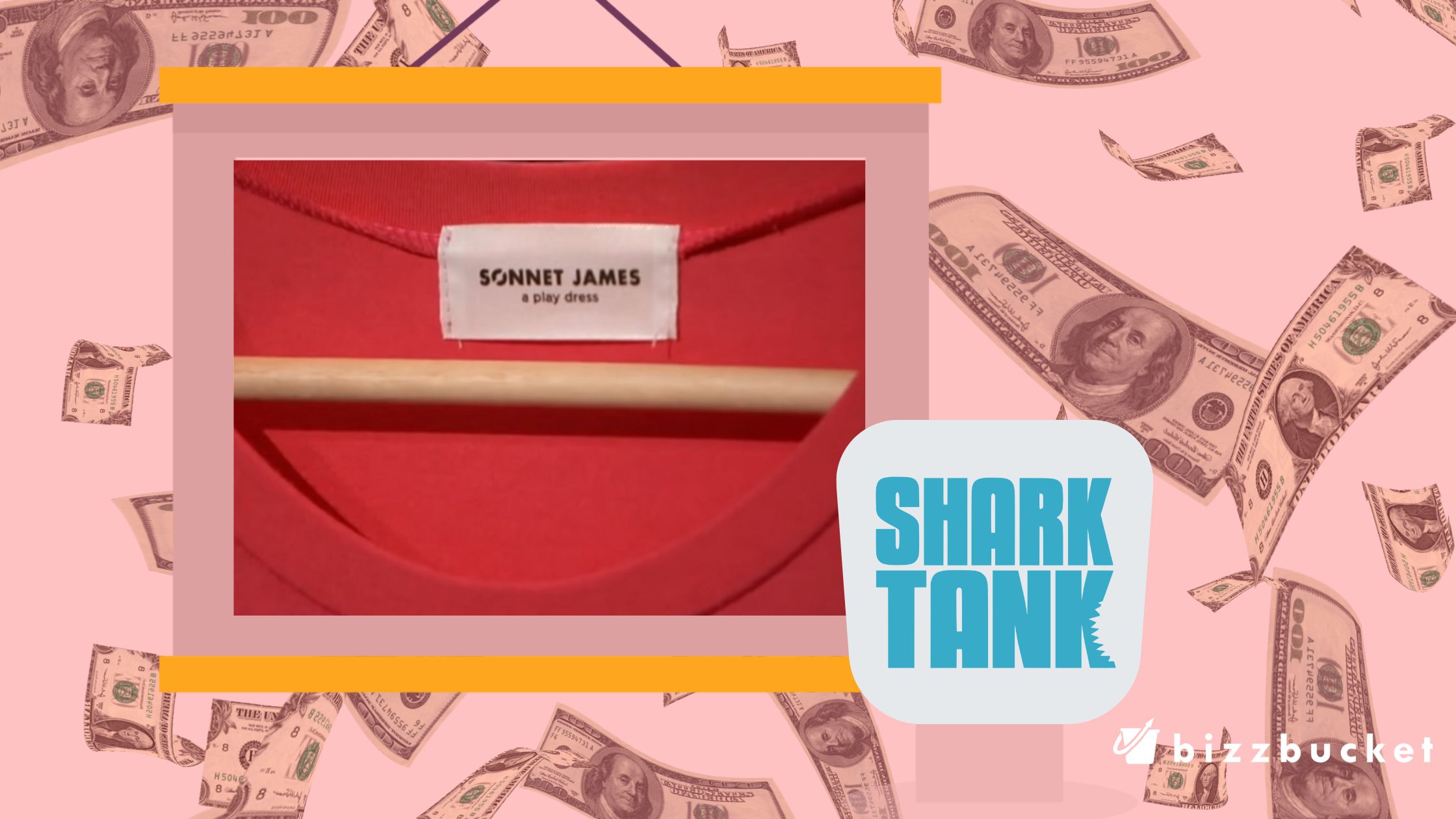 Sonnet James shark tank update