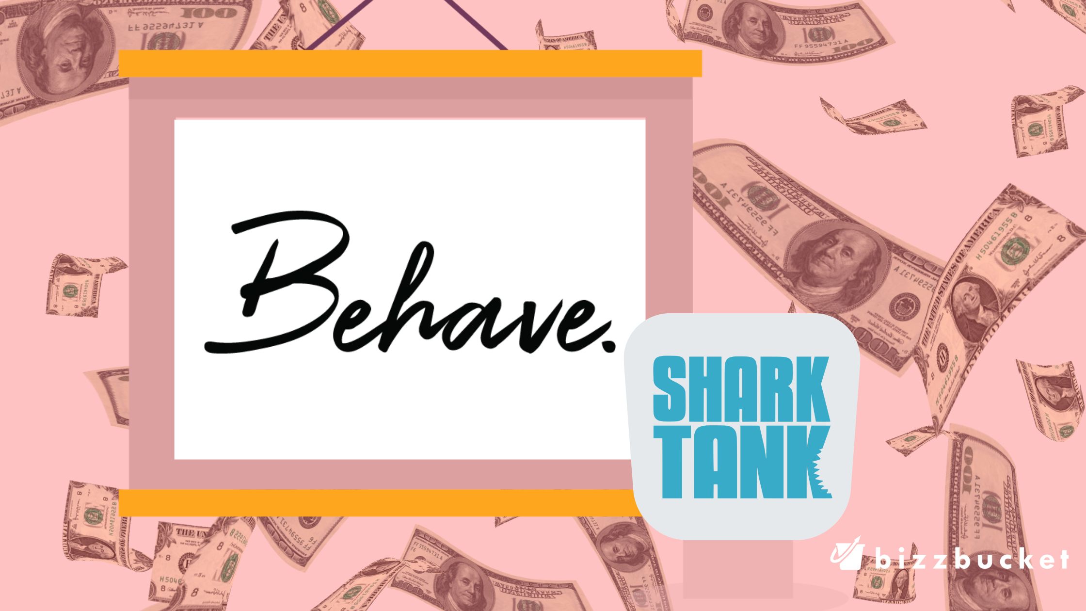Behave Bras shark tank update