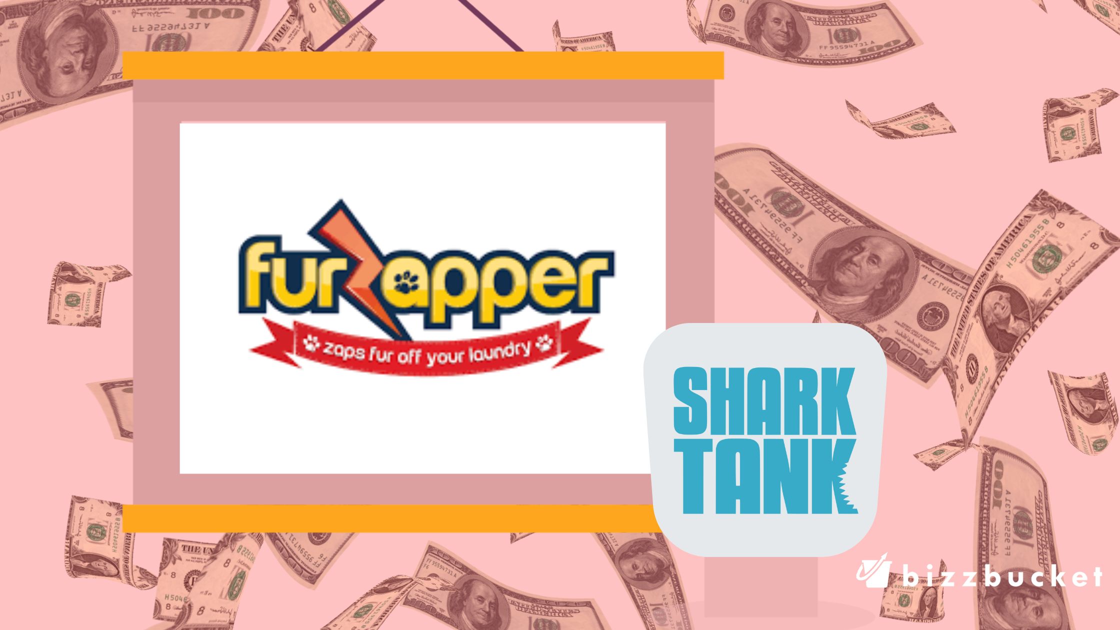 Fur Zapper shark tank update