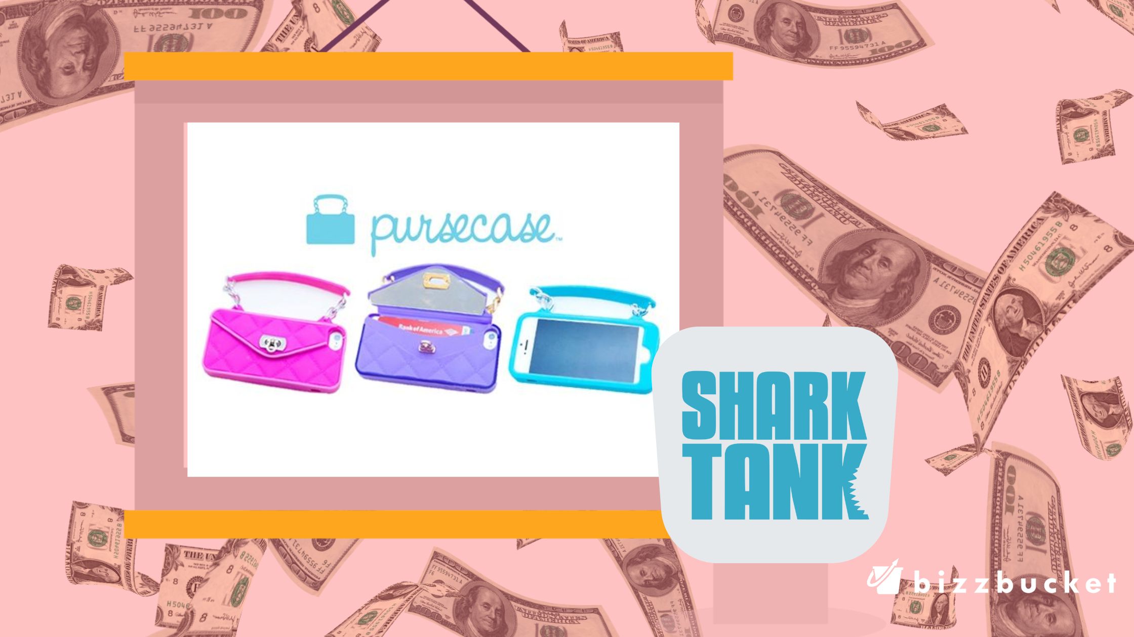 PurseCase shark tank update