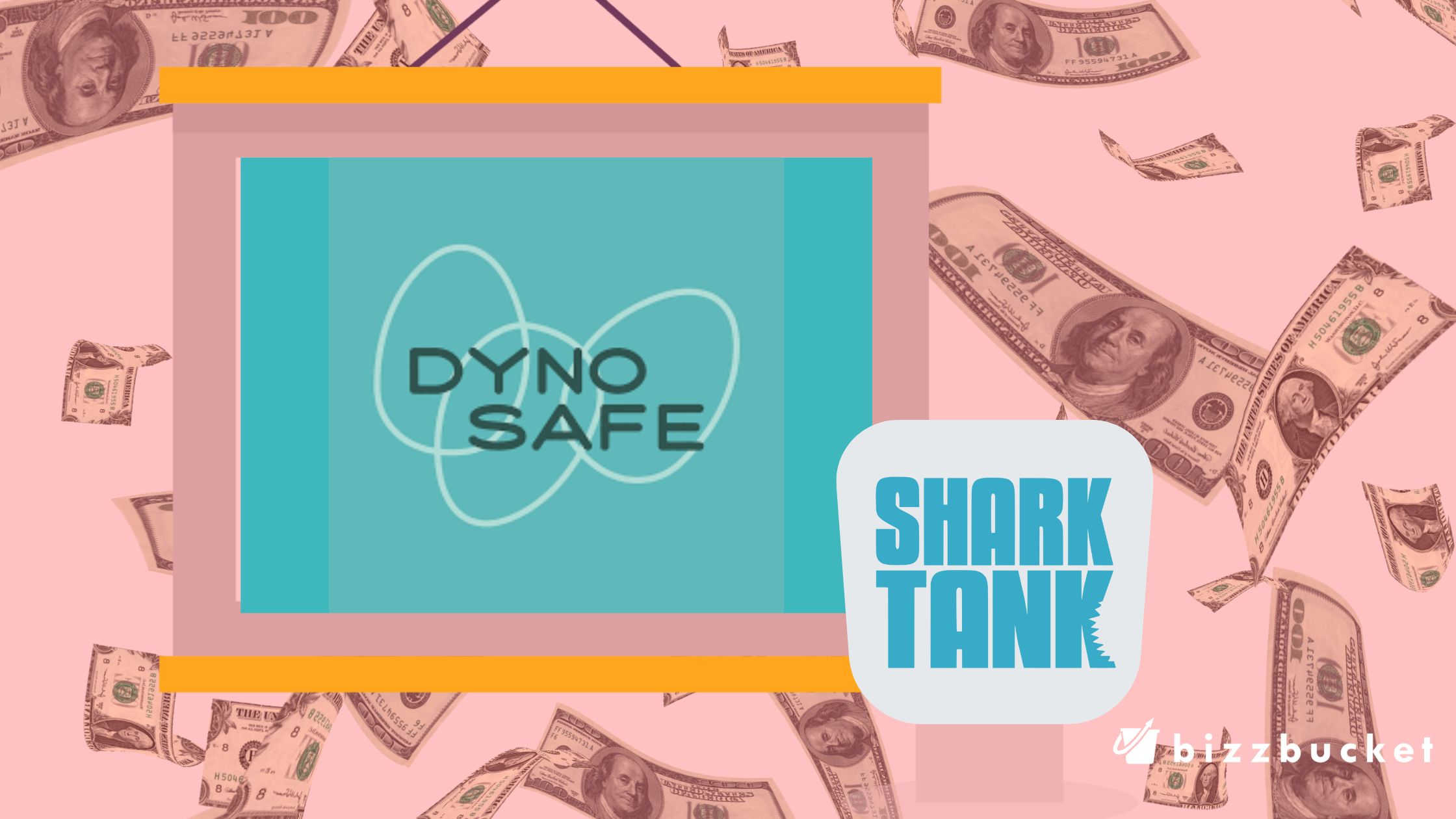 DynoSafe shark tank update