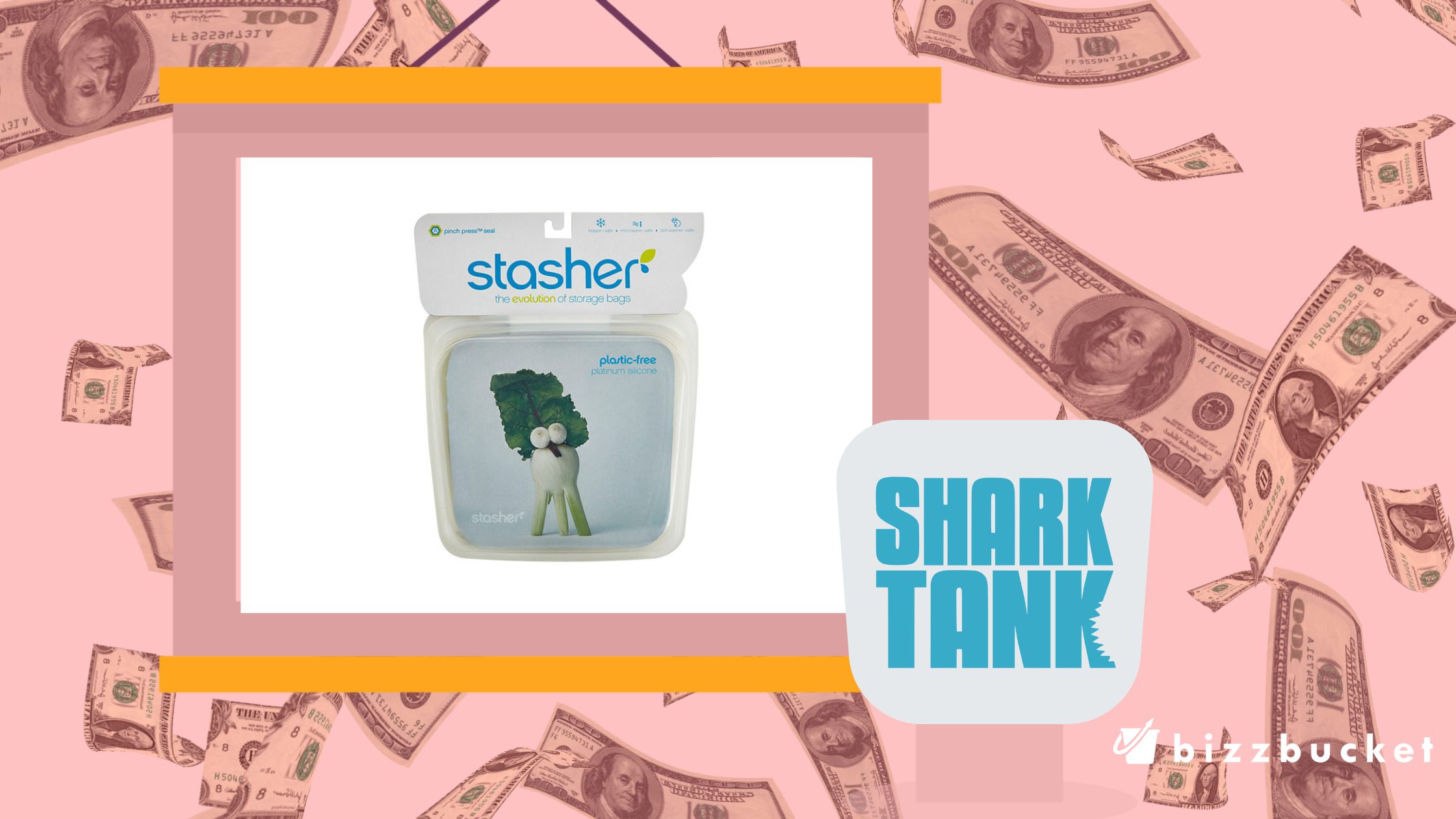 Stasher Shark Tank Update