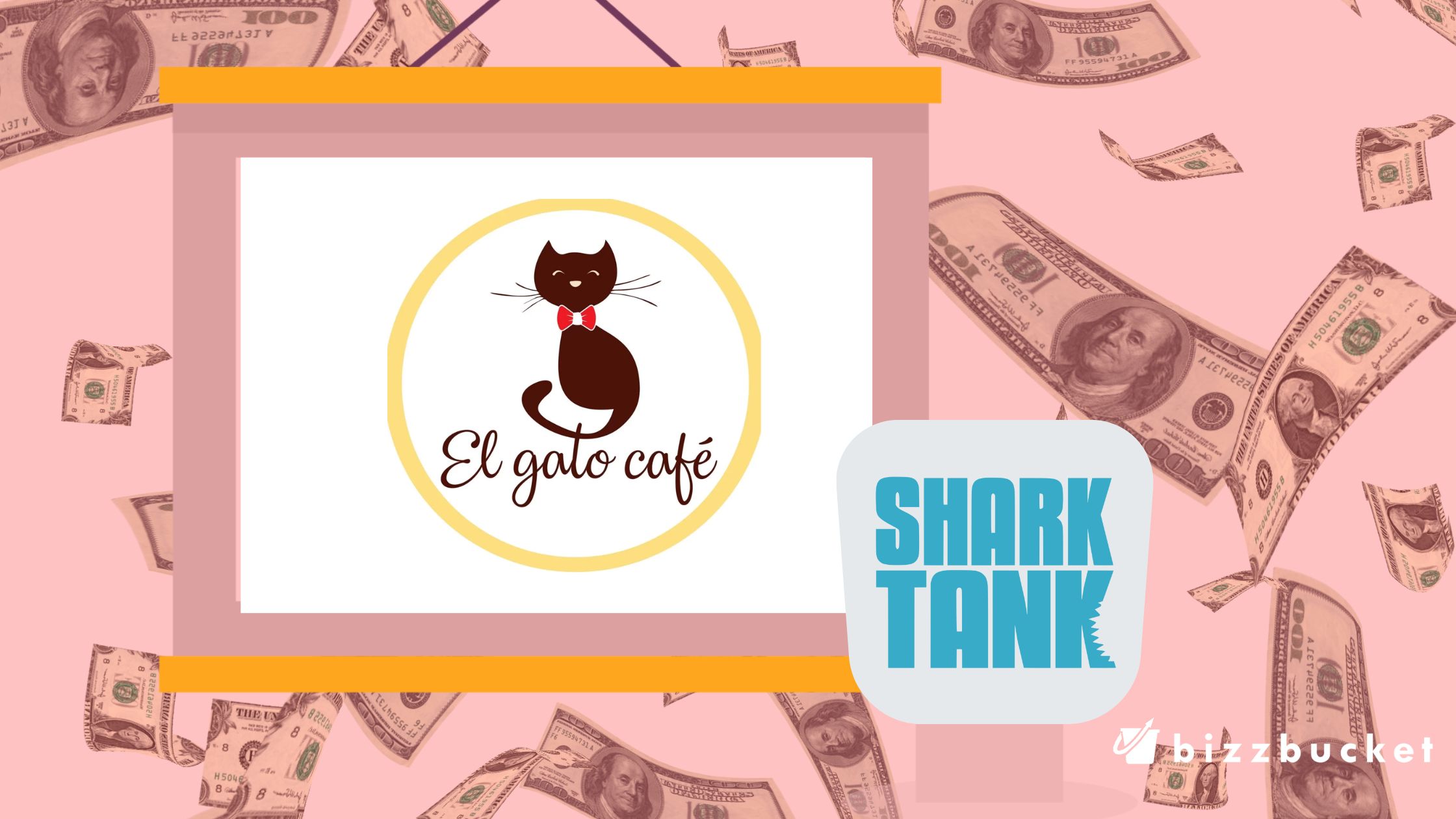 Gato Cafe Shark Tank Update