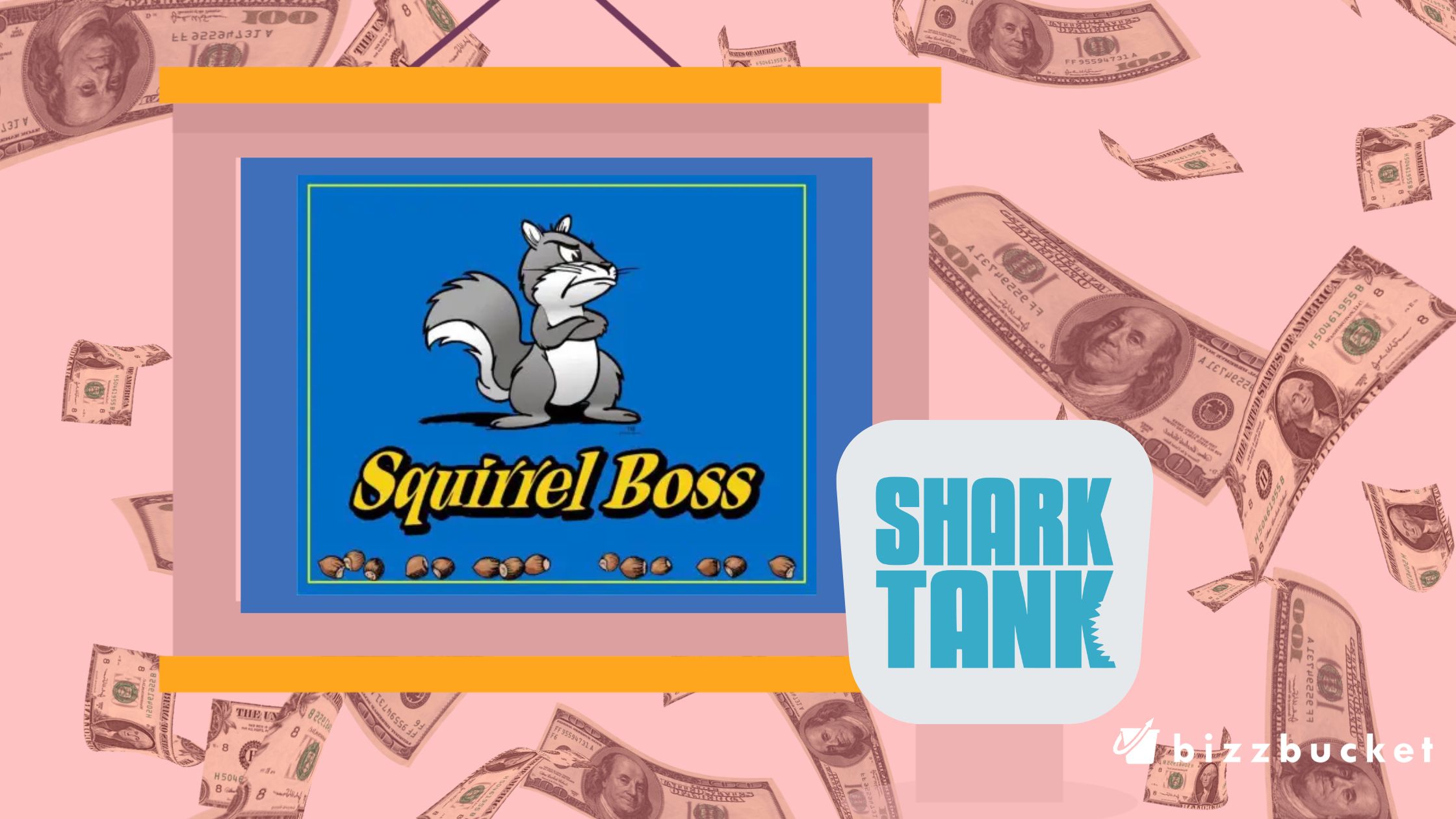 Squirrel Boss Shark Tank Update