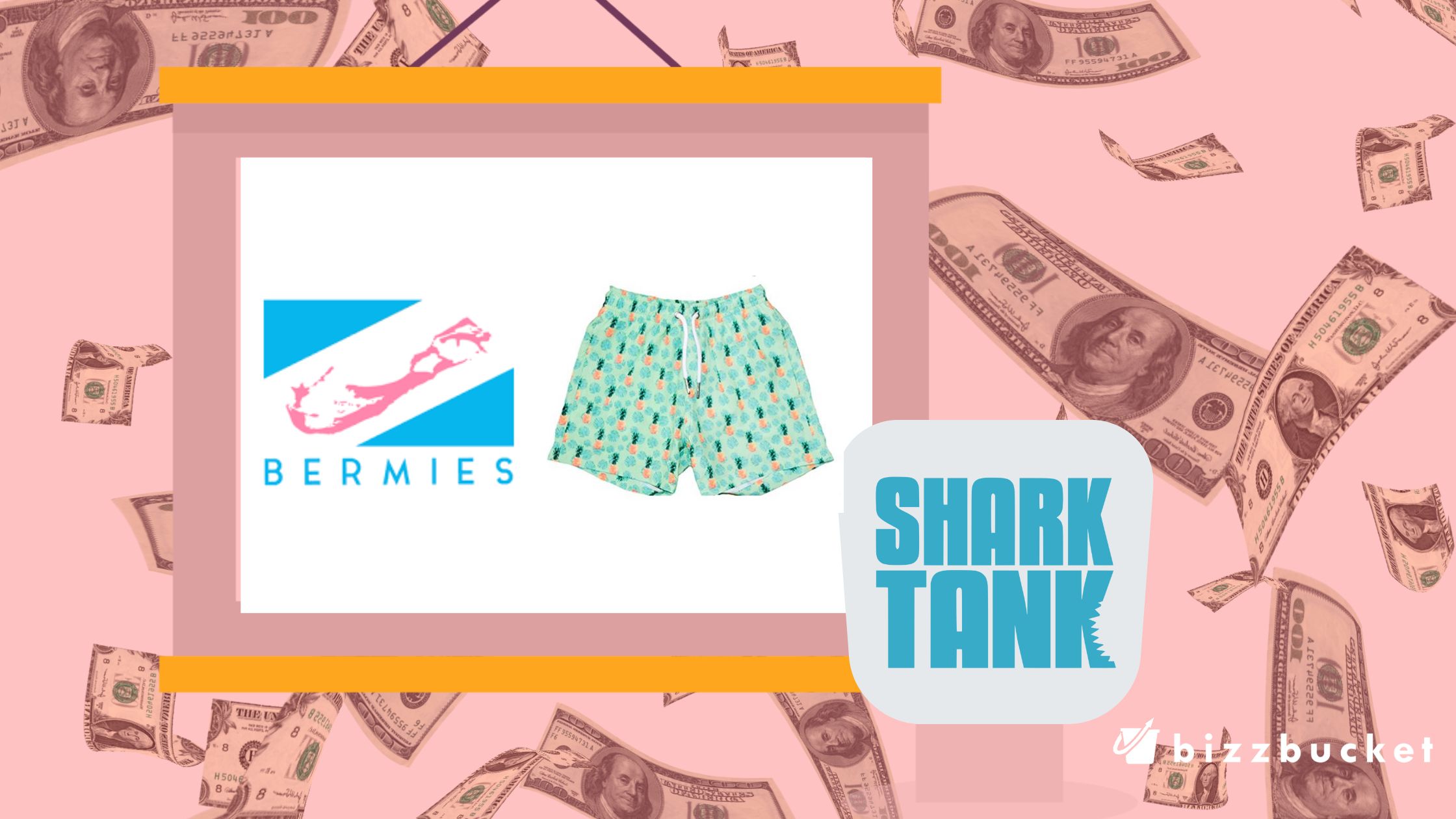 Bermies Swimwear Shark Tank Update