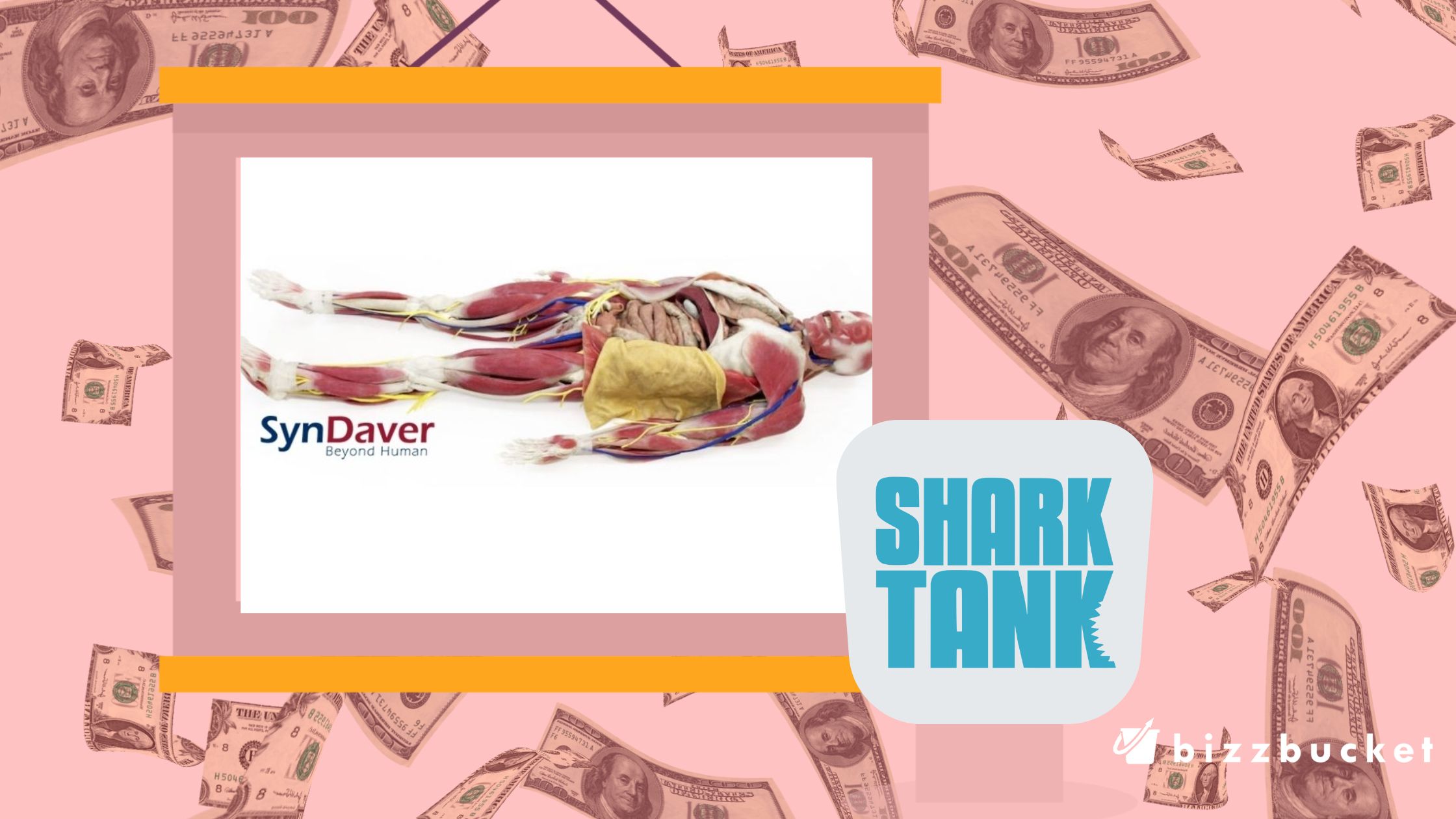 SynDaver Labs Shark Tank Update