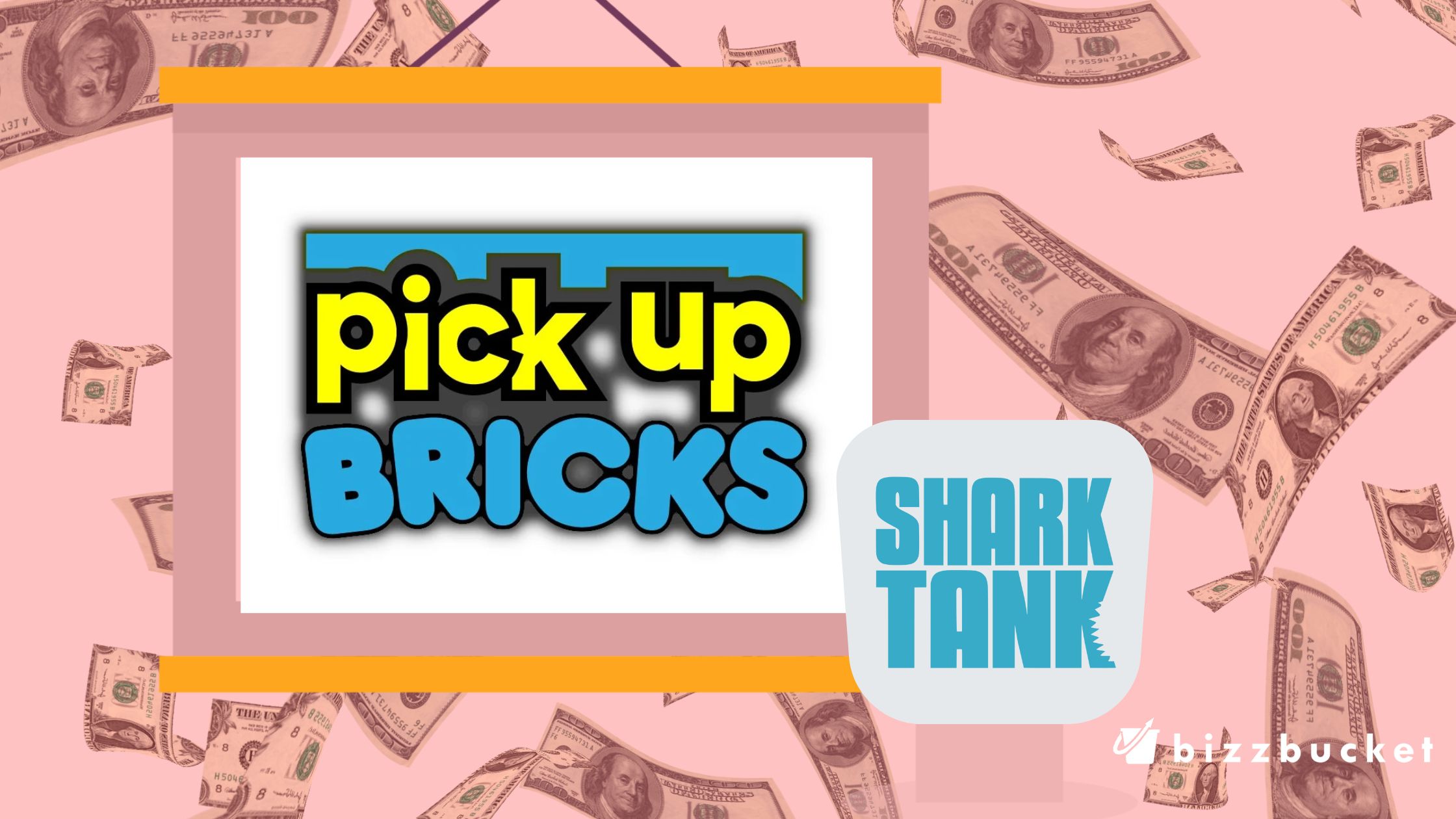 Pick Up Bricks shark tank
